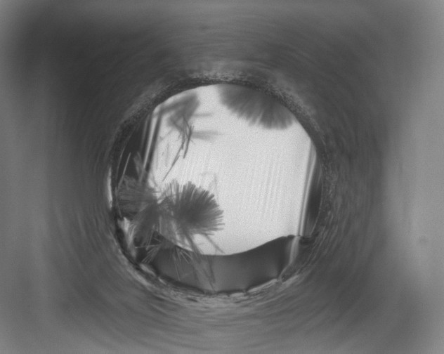 X0000082710020200702161827