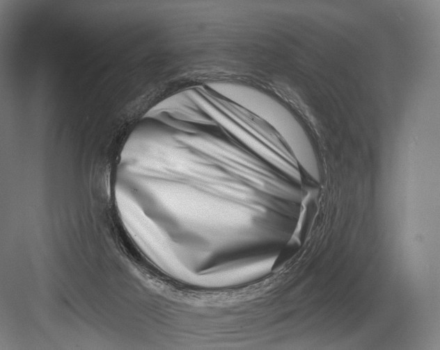 X0000082710021200702161827