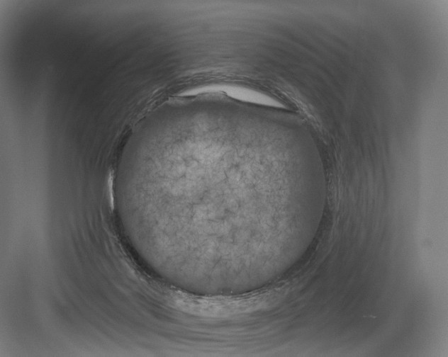 X0000082710022200702161827