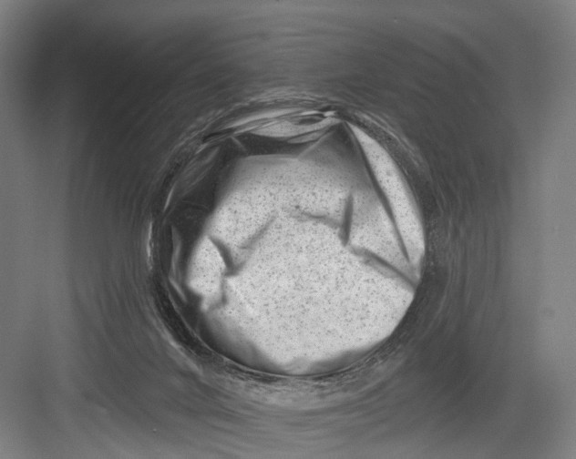 X0000082710024200702161827