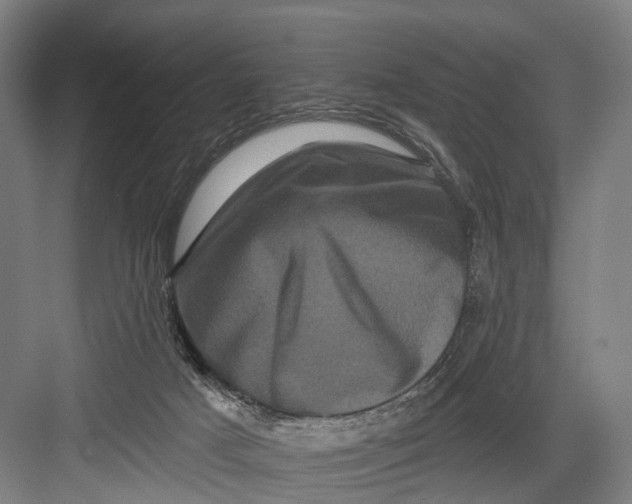 X0000082710025200702161827