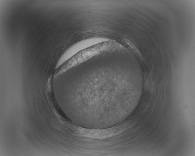 X0000082710026200702161827