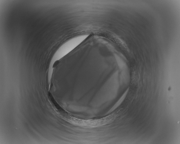 X0000082710027200702161827