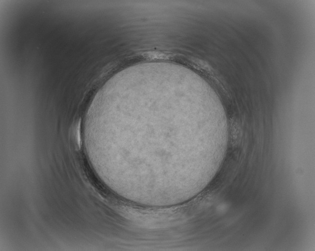 X0000082710028200702161827