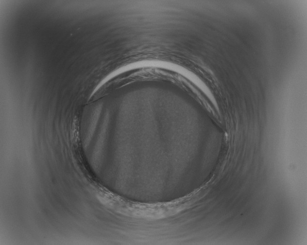 X0000082710029200702161827