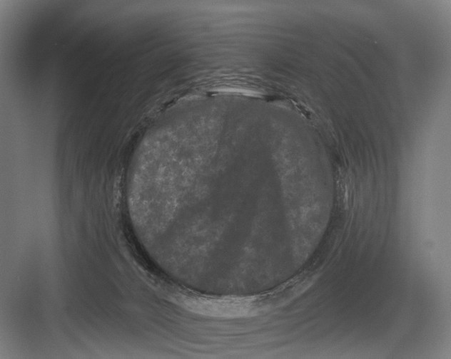 X0000082710032200702161827