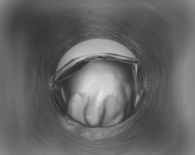 X0000082710033200702161827