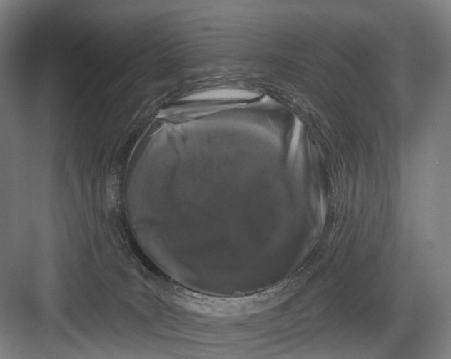 X0000082710035200702161827