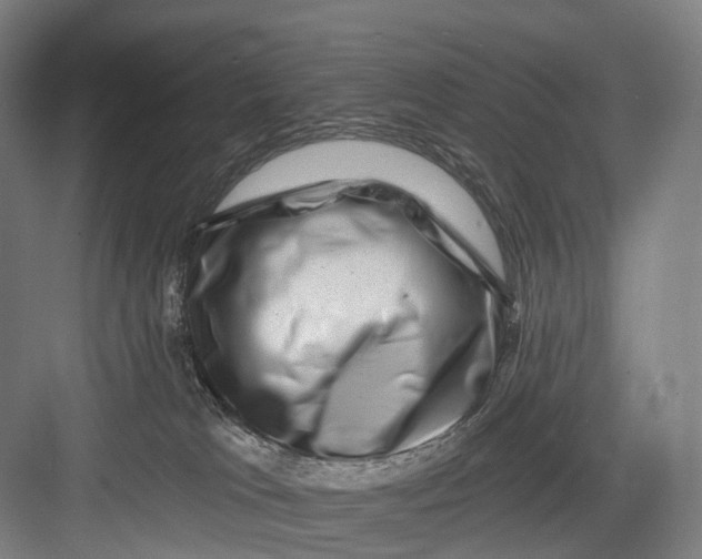 X0000082710037200702161827