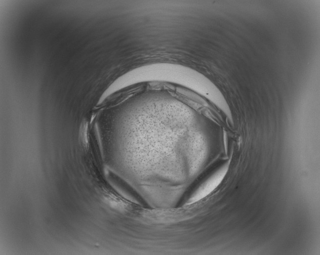 X0000082710041200702161827