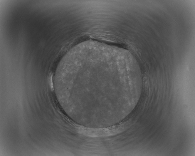 X0000082710042200702161827