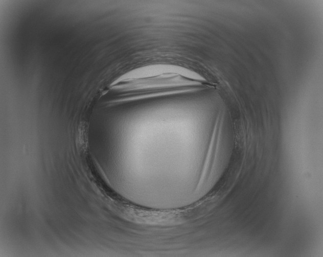 X0000082710044200702161827