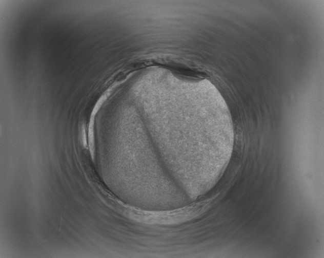 X0000082710046200702161827