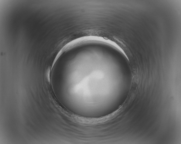 X0000082710047200702161827