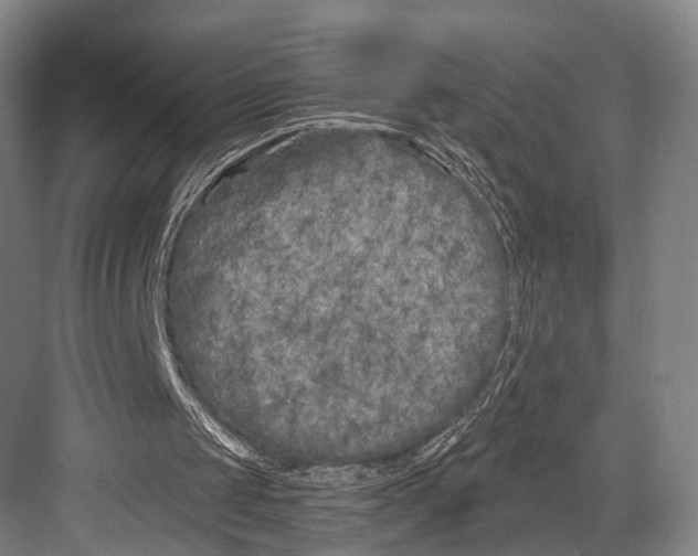 X0000082710049200702161826