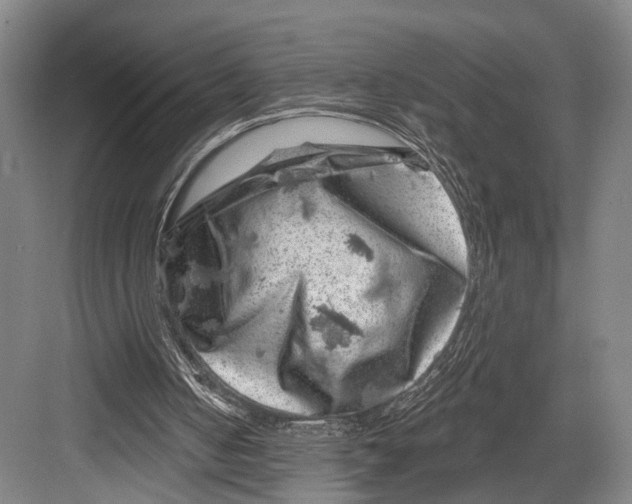 X0000082710050200702161826