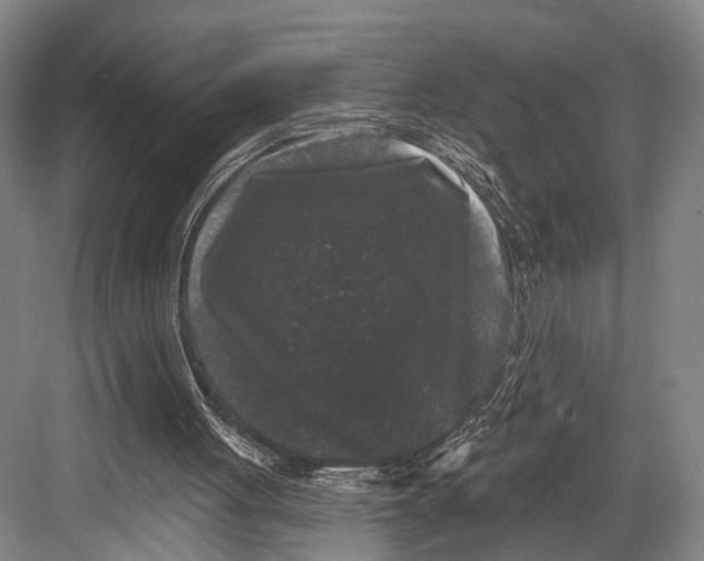 X0000082710051200702161826