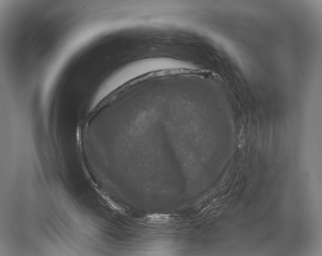 X0000082710052200702161826