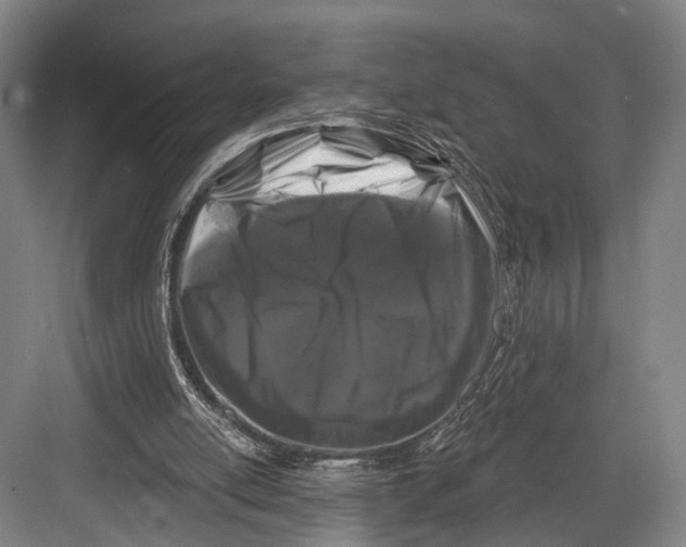 X0000082710054200702161826