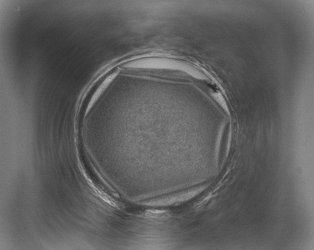 X0000082710055200702161826