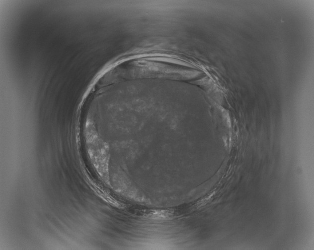 X0000082710056200702161826