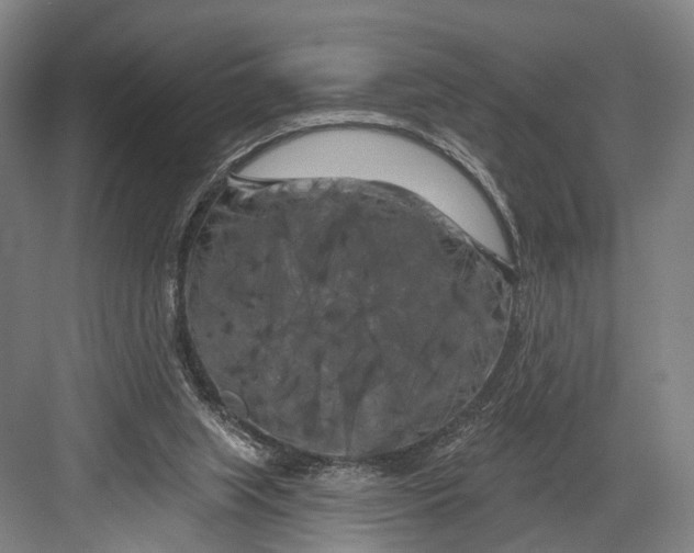 X0000082710063200702161826