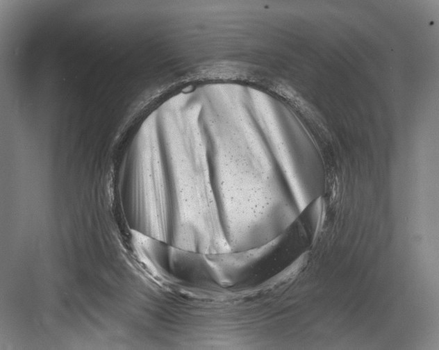 X0000082710064200702161826