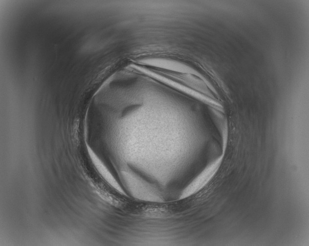 X0000082710066200702161826