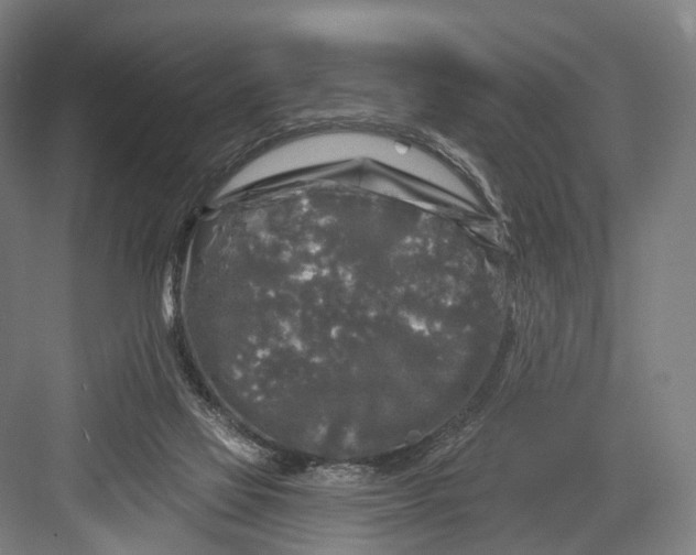 X0000082710069200702161826