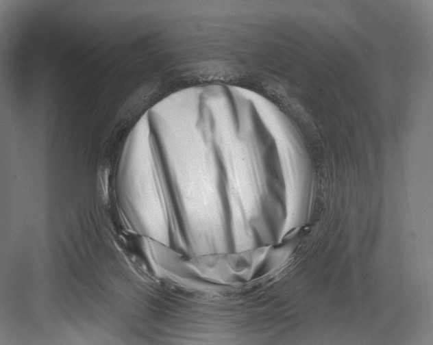 X0000082710070200702161826