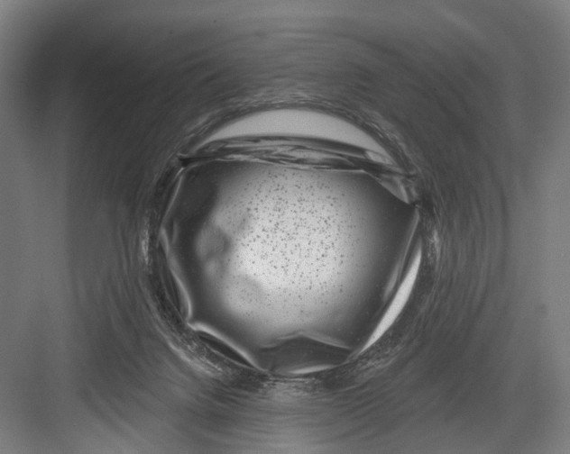 X0000082710072200702161826