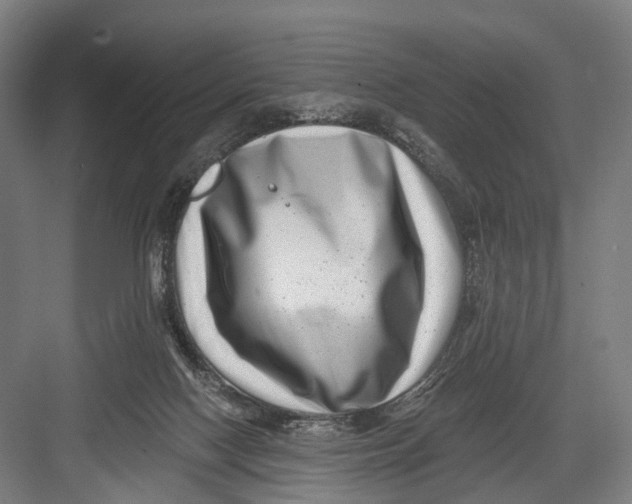 X0000082710074200702161826