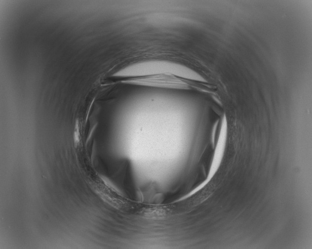 X0000082710075200702161826