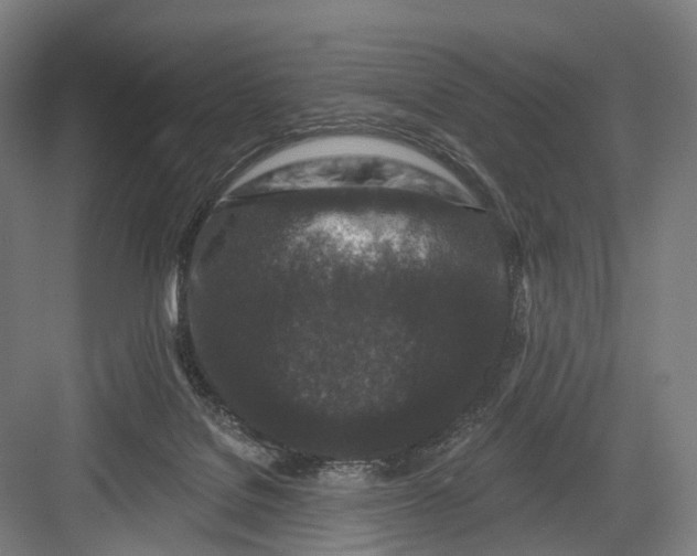 X0000082710076200702161826