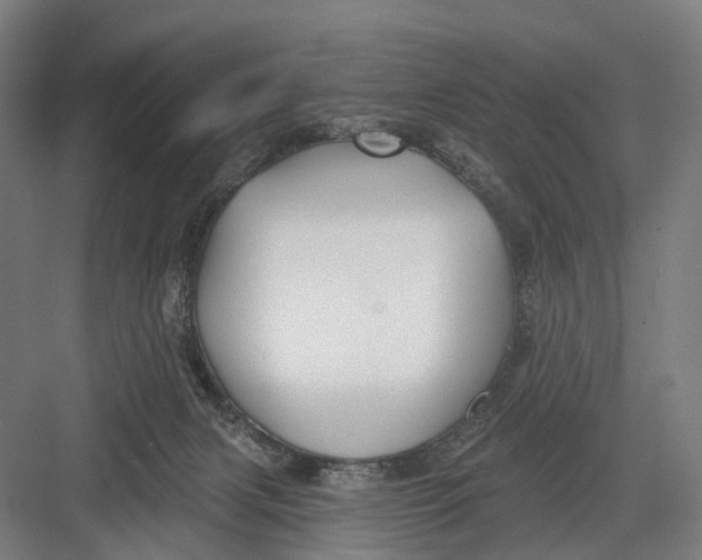 X0000082710079200702161826