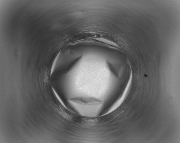 X0000082710081200702161826