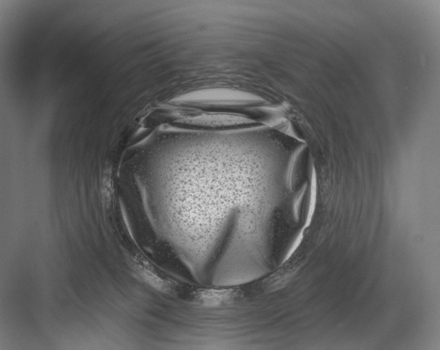 X0000082710085200702161826