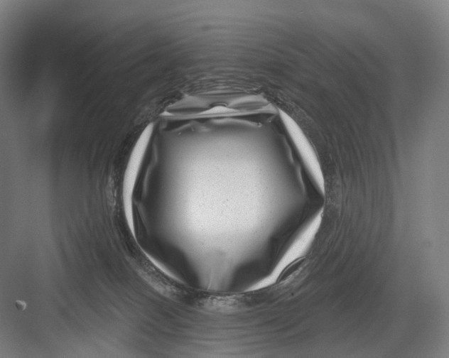 X0000082710086200702161826