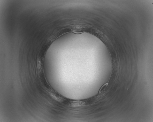 X0000082710087200702161826