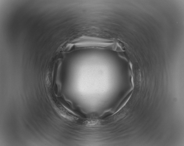 X0000082710088200702161826