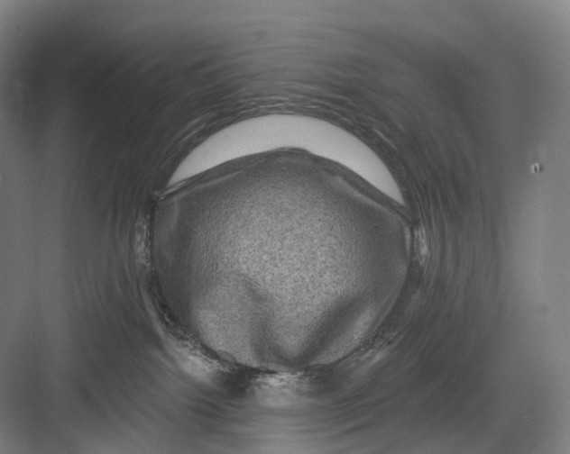 X0000082710092200702161827