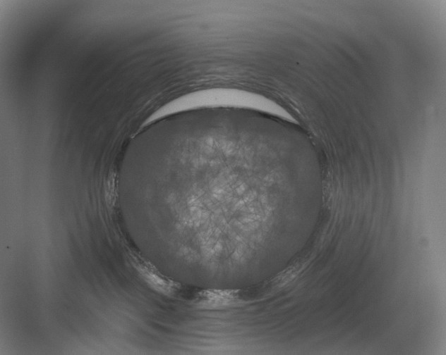 X0000082710093200702161827