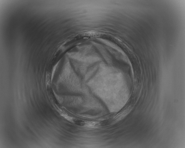 X0000082710096200702161827