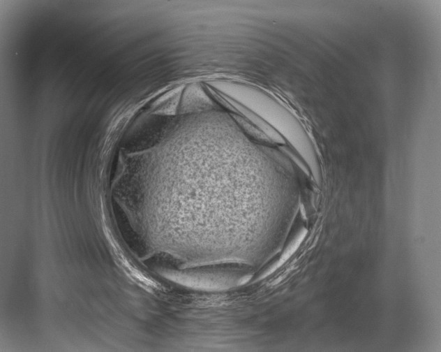 X0000082710097200702161826