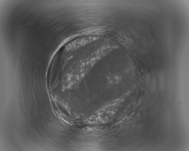 X0000082710100200702161826