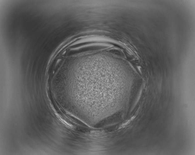 X0000082710101200702161826