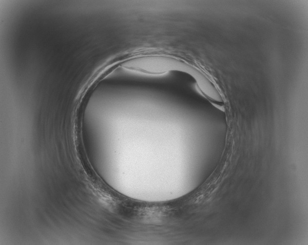 X0000082710103200702161826