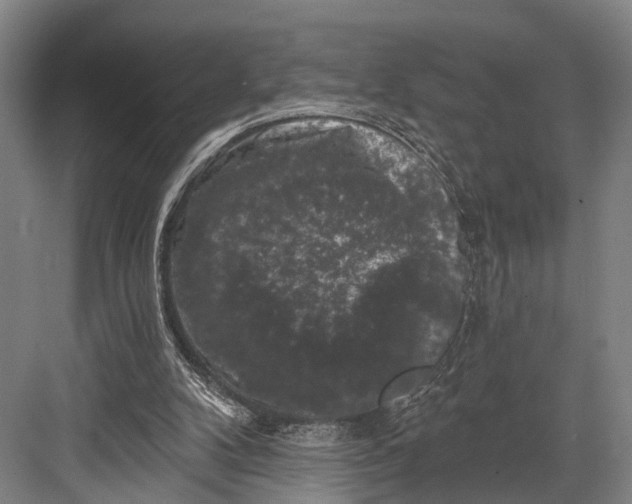 X0000082710104200702161826