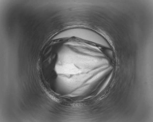 X0000082710105200702161826