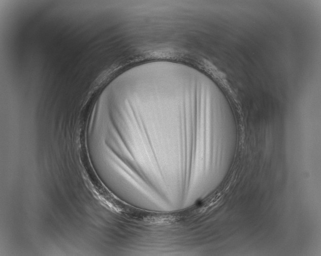 X0000082710106200702161826